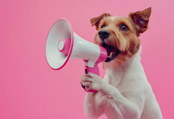 dark barking into a megaphone with a pink background
